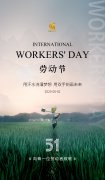 劳动节 | 用汗水浇灌梦想，用双手刻画未