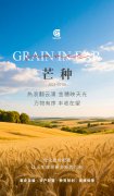 芒种 | 热浪翻云涌，金穗映天光