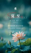 夏至 | 蝉鸣绕绿荫，清池浮荷香